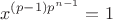 $$x^{(p-1)p^{n-1}}=1$$