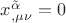 $x_{,\mu \nu }^{\tilde \alpha }  = 0$