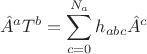 $$ \hat{A}^{a} T^{b}=\sum \limits^{N_a}_{c=0} h_{abc} \hat{A}^{c}$$