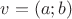 $v=(a;b)$