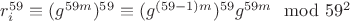 $r_i^{59}\equiv (g^{59m})^{59}\equiv (g^{(59-1)m})^{59}g^{59m}\mod 59^2$