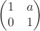 $$\begin{pmatrix}
 1 & a\\
 0 & 1
\end{pmatrix}$$