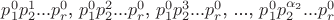 $p^0_1p^1_2...p^0_r$, $p^0_1p^2_2...p^0_r$, $p^0_1p^3_2...p^0_r$, ..., $p^0_1p^{\alpha_2}_2...p^0_r$