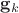 $\mathbf g_k$