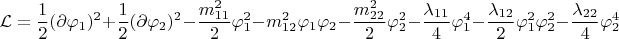 $$\mathcal{L}=\frac{1}{2} (\partial \varphi_1)^2 + \frac{1}{2} (\partial \varphi_2)^2 -\frac{m_{11}^2}{2}\varphi_1^2 - {m_{12}^2}\varphi_1\varphi_2-\frac{m_{22}^2}{2}\varphi_2^2 - \frac{\lambda_{11}}{4}\varphi_1^4 - \frac{\lambda_{12}}{2}\varphi_1^2\varphi_2^2 - \frac{\lambda_{22}}{4}\varphi_2^4$$