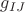 $g_{IJ}$