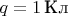 $q=1\,\text{Кл}$
