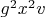 $g^2 x^2 v$