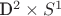 {D^2} \times {S^1}