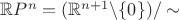 $\mathbb{R}P^n=(\mathbb{R}^{n+1}\backslash\{0\})/\sim$