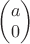 $\begin{pmatrix}a\\0\end{pmatrix}$