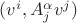 $(v^i, A^\alpha_jv^j)$