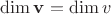 $\dim \mathbf v = \dim v$