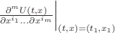 $\frac{\partial^{m}{U(t,x)}}{\partial{x^{i_{1}}}...\partial{x^{i_{m}}}} \bigg|_{(t,x)=(t_{1}, x_{1})}$
