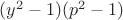 $ ( y^2 - 1 ) ( p^2 - 1 ) $