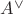 $A^{\vee}$