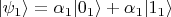$|\psi_1\rangle = \alpha_1 |0_1\rangle + \alpha_1 |1_1\rangle$