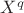 $X^{q}$