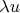$\lambda u$
