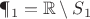 $\P_1=\mathbb{R}\setminus S_1$