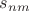 $s_{nm}$