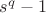 $s^q-1$
