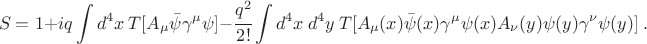 $$ S=1 +iq \int d^4 x ~ T[ A_\mu \bar \psi \gamma^\mu \psi] -\cfrac{q^2}{2!} \int d^4 x ~ d^4 y ~ T [A_\mu(x) \bar \psi(x) \gamma^\mu \psi(x) A_\nu(y) \psi(y) \gamma^\nu \psi(y)] ~. $$