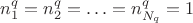 $n_1^q = n_2^q = \ldots = n_{N_q}^q = 1$