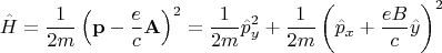 $$ \hat{H}=\frac{1}{2m}\left(\mathbf{p}-\frac{e}{c}\mathbf{A}  \right)^2=\frac{1}{2m}\hat{p}_y^2+\frac{1}{2m}\left(\hat{p}_x+\frac{eB}{c} \hat{y} \right)^2$$