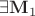 $\exists \mathbf{M}_1$