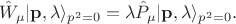 $$
\hat {W}_{\mu}|\mathbf {p}, \lambda \rangle_{p^{2} = 0} = \lambda \hat {P}_{\mu}|\mathbf {p}, \lambda \rangle_{p^{2} = 0}.
$$