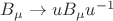 $B_{\mu}\to u B_{\mu}u^{-1}$