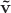 $ \mathbf {\tilde v}$