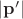 $|\mathbf{p'}|$