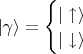 $|\gamma\rangle = \begin{cases} |\uparrow \rangle \\ |\downarrow \rangle \end{cases}$