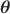 $\boldsymbol{\theta}$