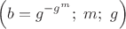 $$\left(b=g^{-g^m} ;\,\,m ;\,\,g\right)$$
