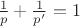 $\frac{1}{p} + \frac{1}{p'}=1$