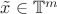 $\tilde x\in\mathbb{T}^m$