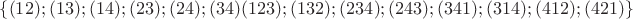 $\{(12);(13);(14);(23);(24);(34)} {(123);(132);(234);(243);(341);(314);(412);(421)\}$