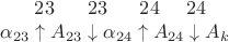 $\ \;\;\;\;\;23\;\;\;\;\;\;23\;\;\;\;\;\;24\;\;\;\;\;24$
$\alpha_{23} \uparrow A_{23} \downarrow \alpha_{24} \uparrow A_{24} \downarrow A_{k}$ $\ \;\;\;\;\;23\;\;\;\;\;\;23\;\;\;\;\;\;24\;\;\;\;\;24$
$\alpha_{23} \uparrow A_{23} \downarrow \alpha_{24} \uparrow A_{24} \downarrow A_{k}$