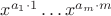 $x^{a_1\cdot1}\ldots x^{a_m\cdot m}$