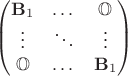 $\begin{pmatrix}
\mathbf{B}_1 & \dots & \mathbb{O} \\
\vdots & \ddots & \vdots \\
\mathbb{O} & \dots & \mathbf{B}_1
\end{pmatrix}$