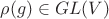 $\rho(g)\in GL(V)$
