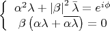 $$\[
\left\{ {\begin{array}{*{20}c}
   {\alpha ^2 \lambda  + \left| \beta  \right|^2 \bar \lambda  = e^{i\phi } }  \\
   {\beta \left( {\alpha \lambda  + \overline{\alpha \lambda} } \right) = 0}  \\

 \end{array} } \right.
\]
$$