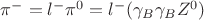 $\pi^- = l^-\pi^0 = l^-(\gamma_B\gamma_BZ^0)$