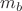 $m_{b}$