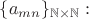$\{a_{mn}\}_{\mathbb{N}\times\mathbb{N}}:$