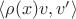 $\langle \rho(x)v,v'\rangle$ $\langle \rho(x)v,v'\rangle$
