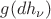 $g(dh_{\nu})$